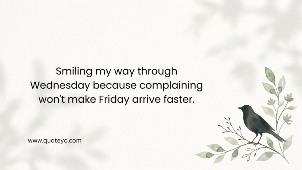 positive funny wednesday quotes